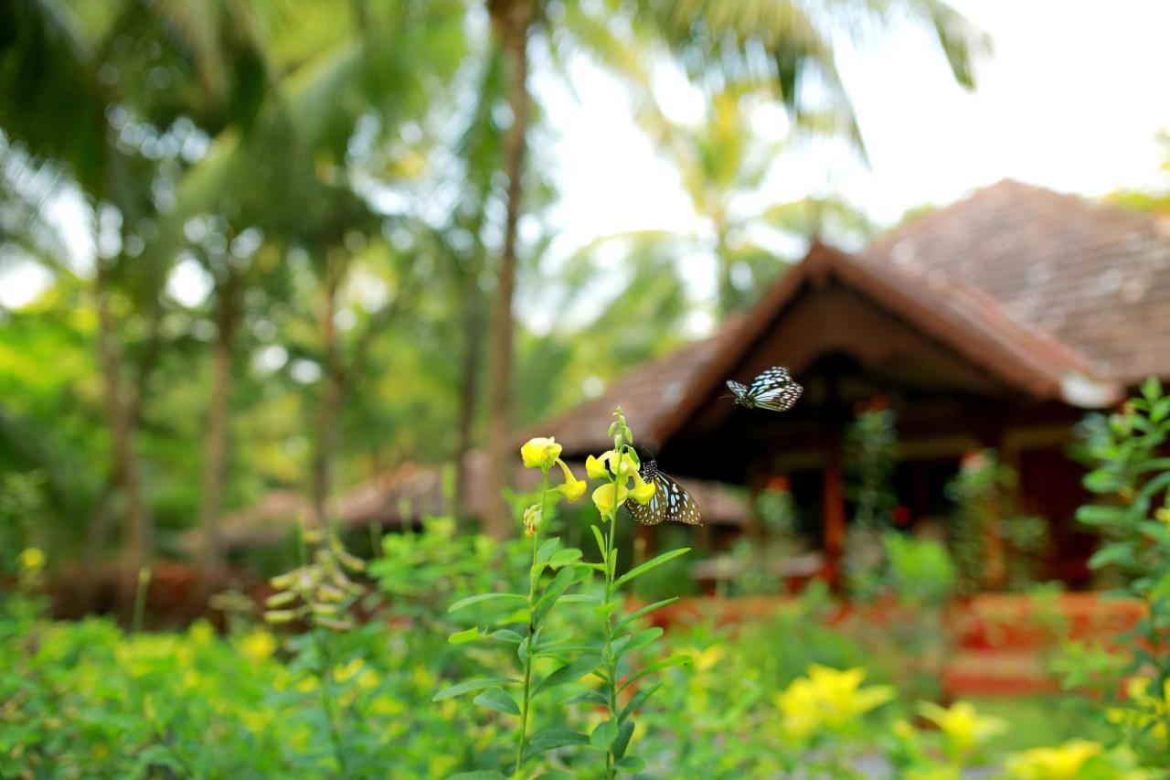 The Nattika Beach Resort Thrissur Exterior photo