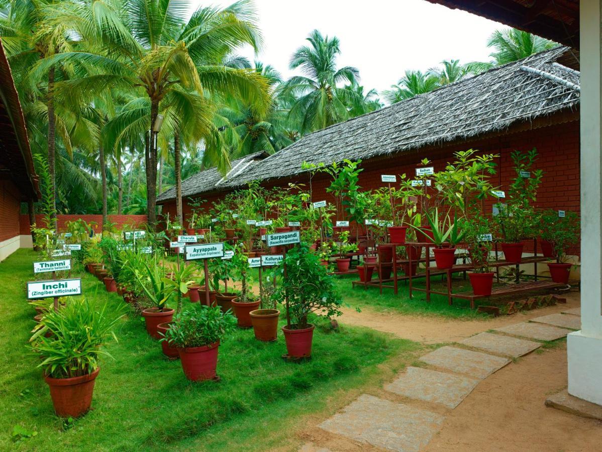The Nattika Beach Resort Thrissur Exterior photo